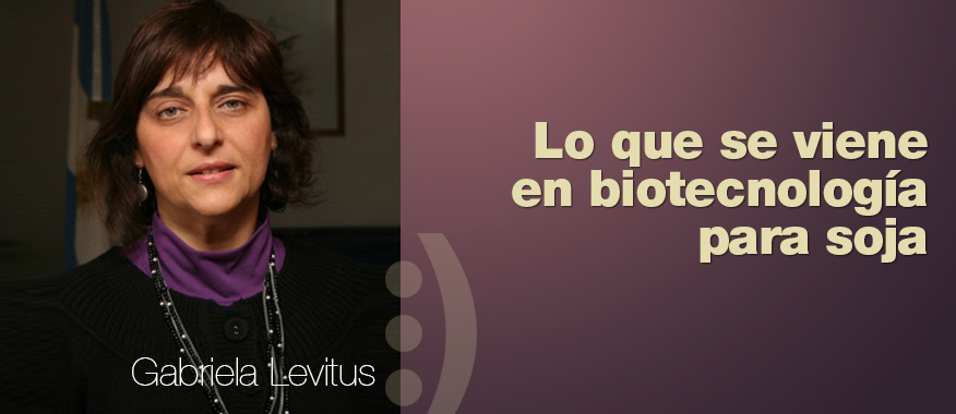 Disertantes-banner-2